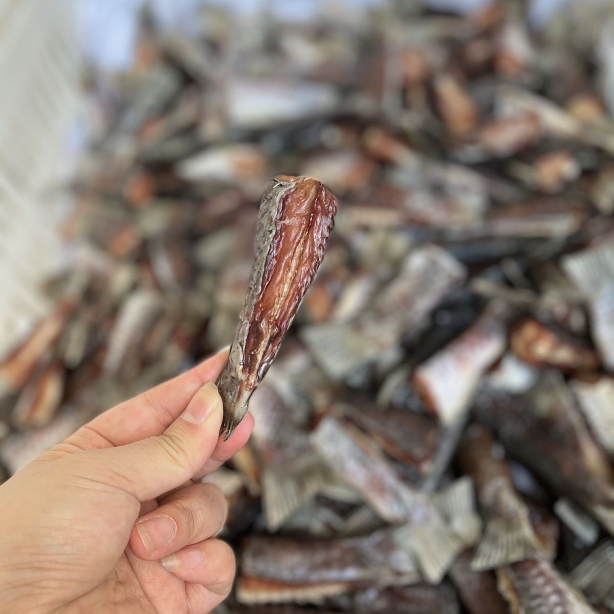 湖北特产风干草鱼鱼尾农家腌制非烟熏咸鱼尾巴