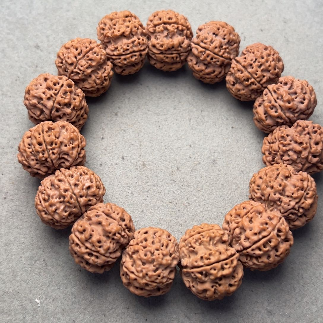 菩提6号金刚菩提原生态六瓣24