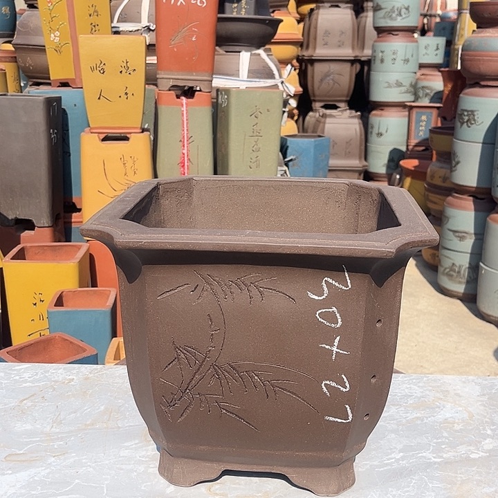 紫砂紫砂花盆盆栽