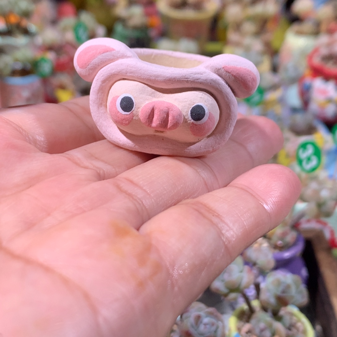 内口2.5   满100包邮