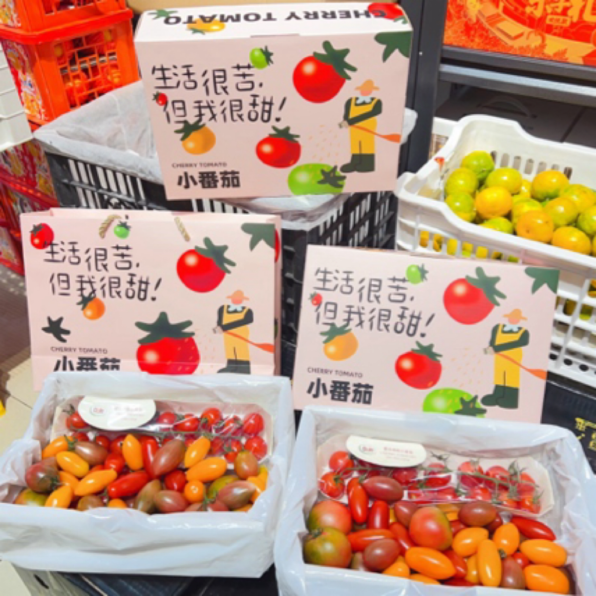 各种混合小番茄49.9一箱3斤净番茄同城配混合黑龙江省