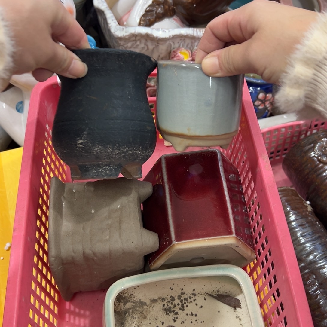 瑕疵310 花盆拍满20元发货，退款拉黑。