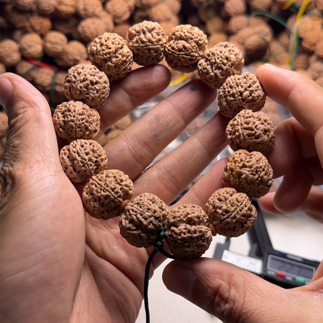手串金刚菩提31好金刚