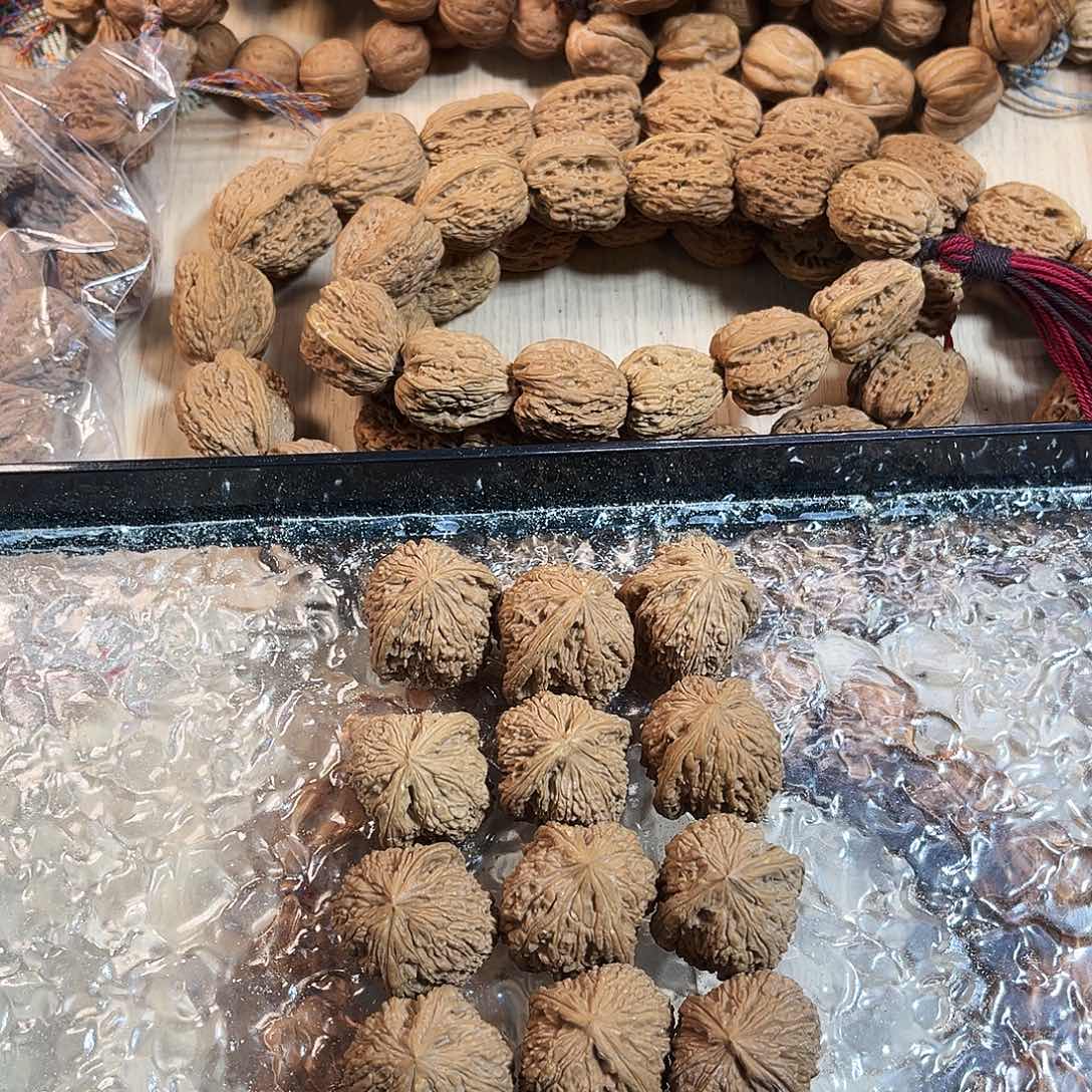 永**力31高炮12+1