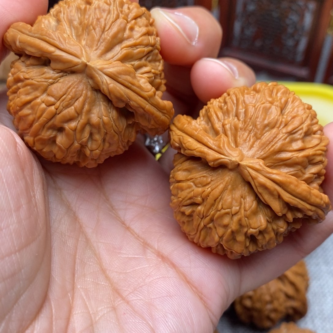 文玩核桃把件自***魂全品毕业绝配白狮子44尺