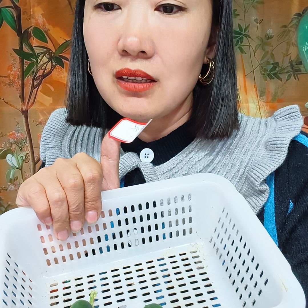 完全开放1111111111111