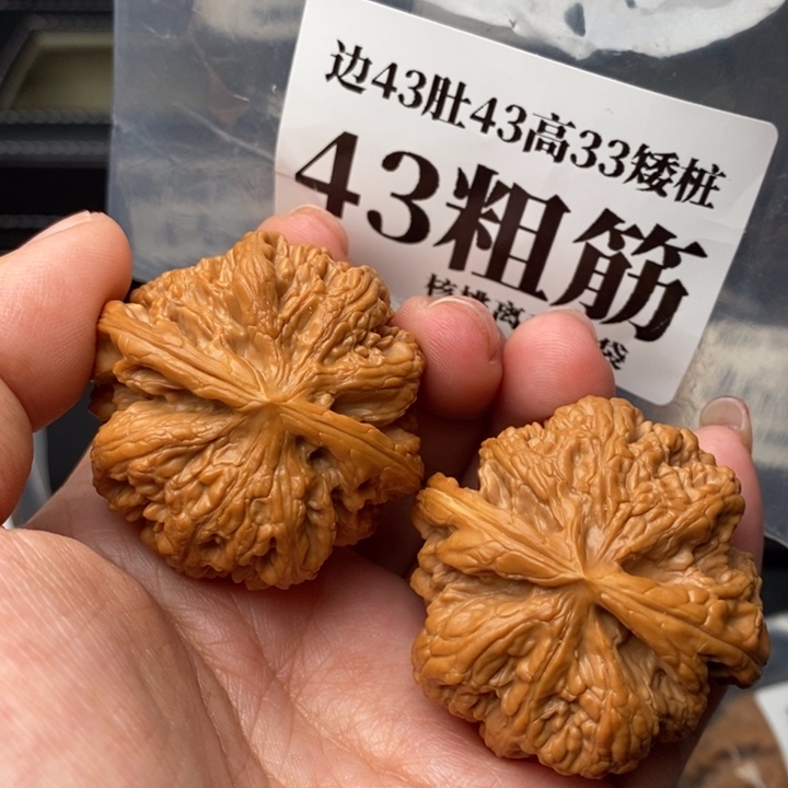 文玩核桃把件43粗筋