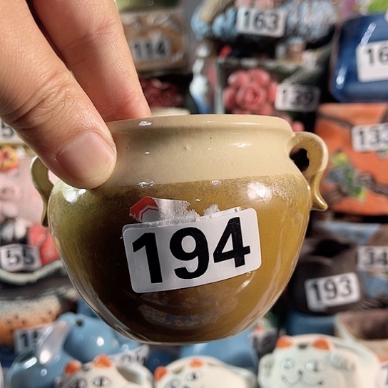 红陶多肉植物花盆