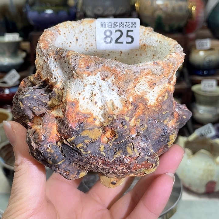 红陶内口径7高度8