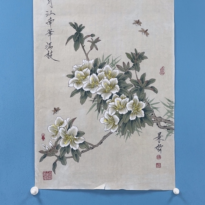 书法88888888555555555