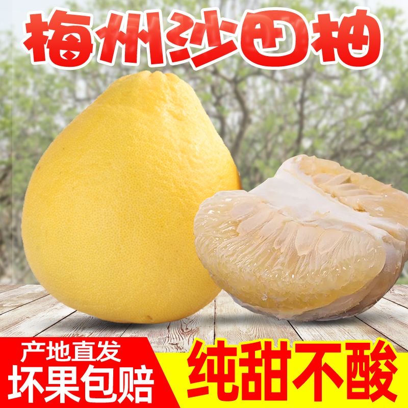 正宗梅州沙田柚金柚纯甜柚子当季新鲜孕妇水果