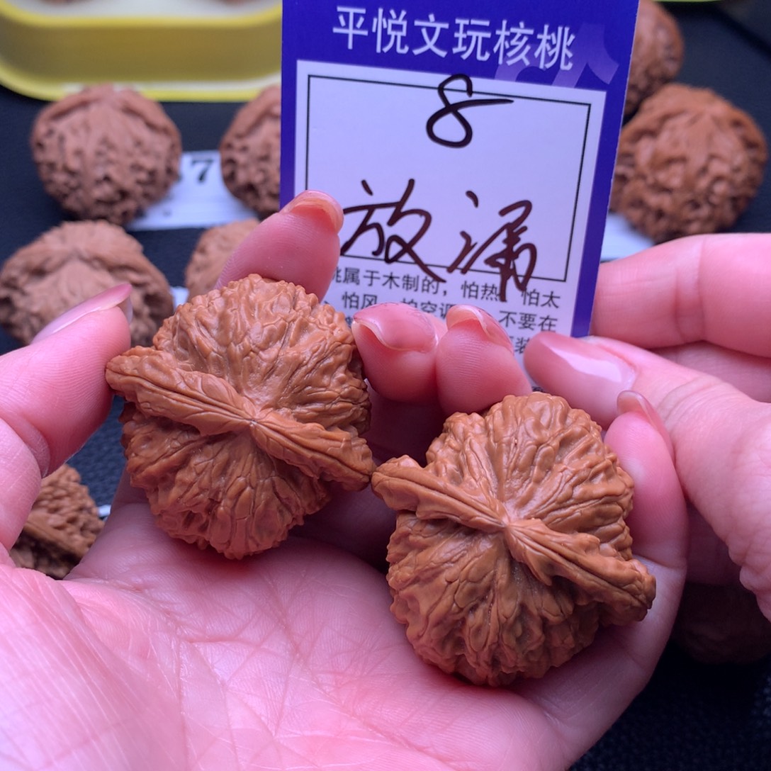 核桃白狮8链接43尺