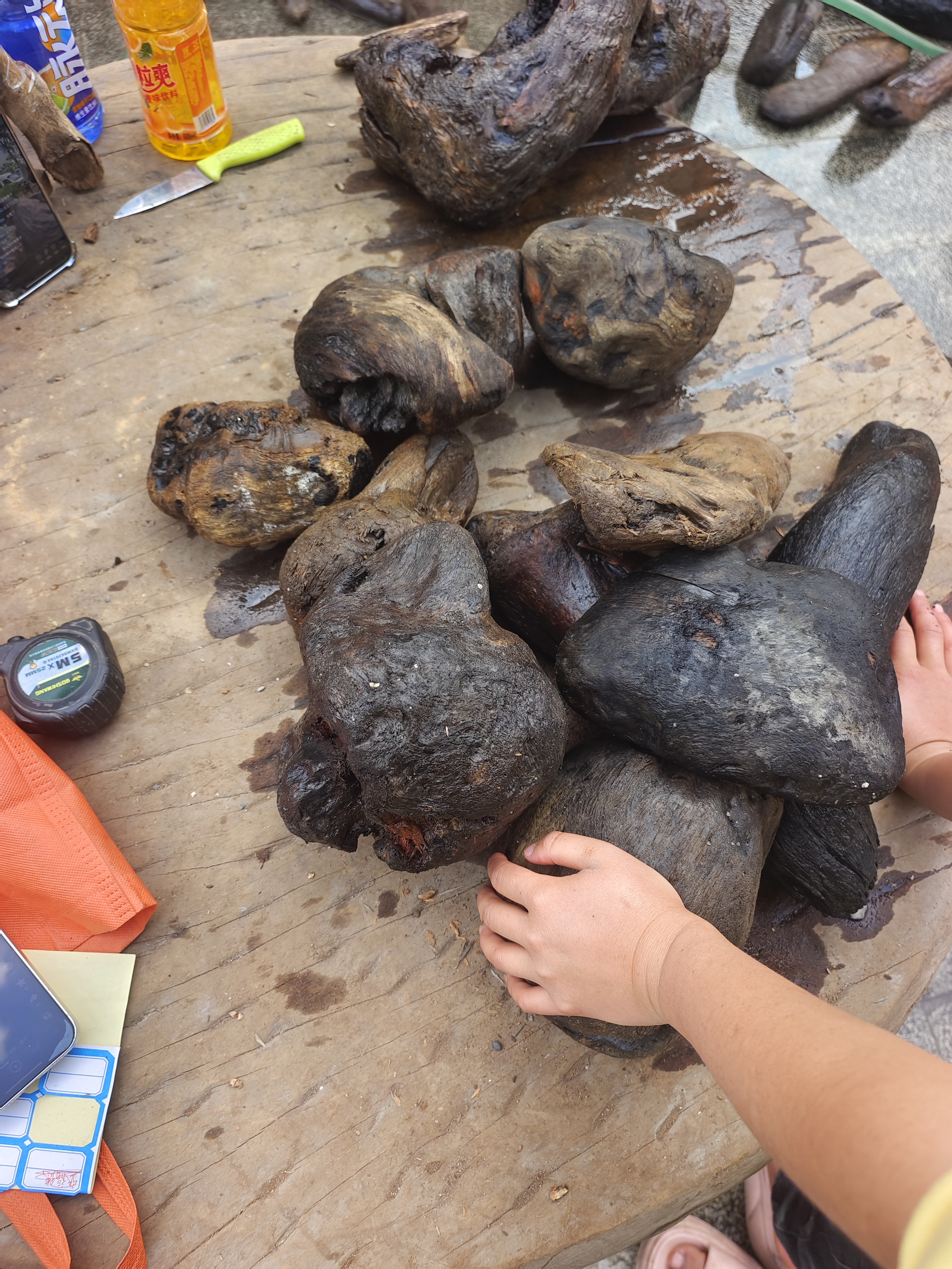 民间使用风化木漂流木