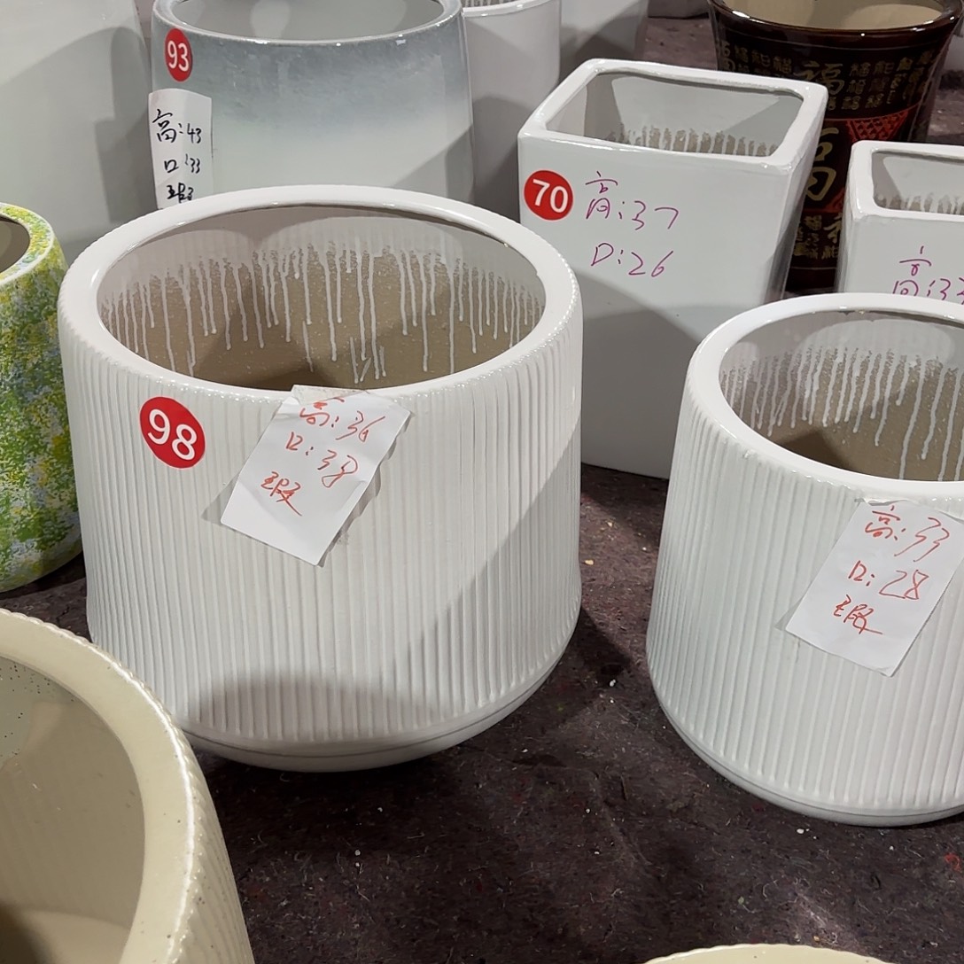 白色水滴条纹一套二