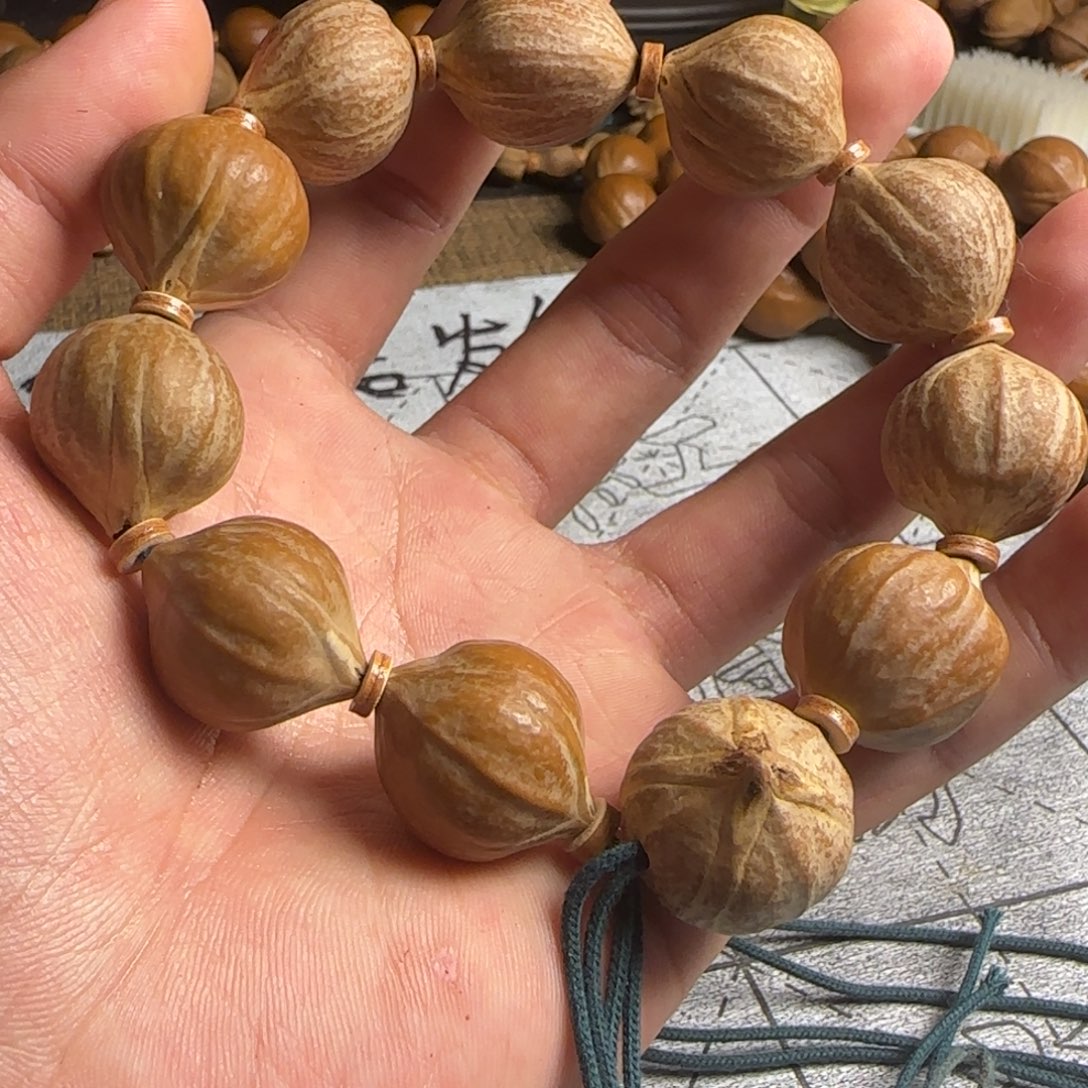 橄榄核2.0四会树王四花