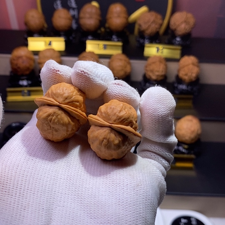 文玩核桃把件金龟子29尺