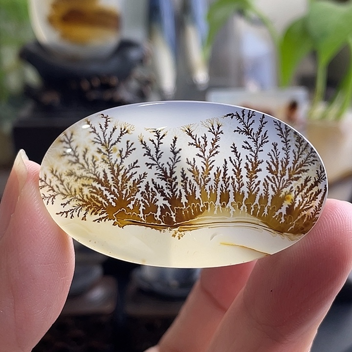 玛瑙/玉髓未镶嵌珠宝半成品