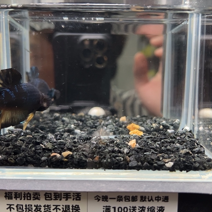 斗鱼跑单拉黑9日42