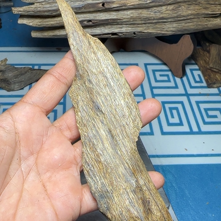 线香母树红奇树心油20克