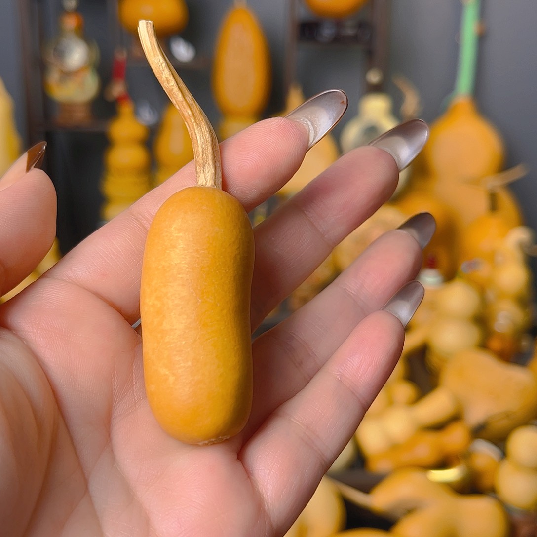 玄*哈哈哈哈哈哈哈哈哈