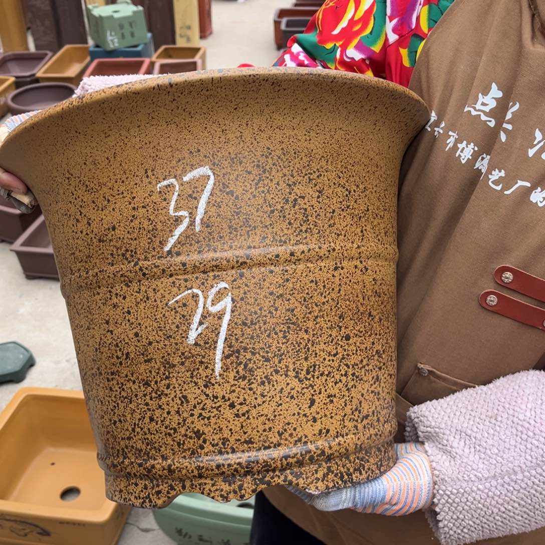 紫砂花盆盆景艺术