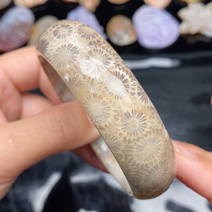 硅化珊瑚（珊瑚玉）手镯未镶嵌 58.4