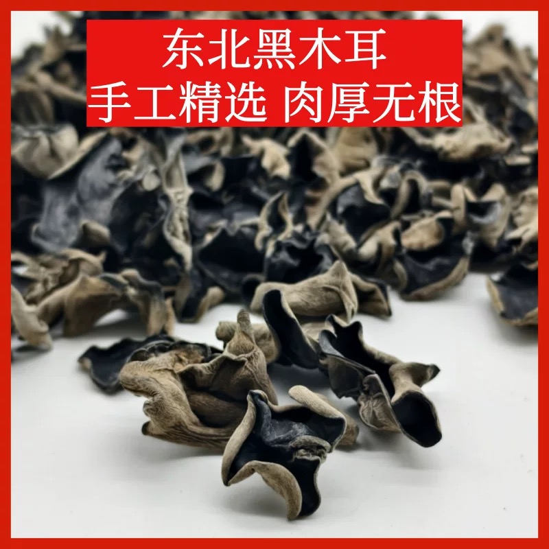 [静静大连海鲜]黑木耳干货凉拌炒菜肉厚