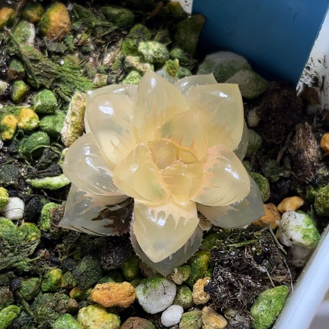 恭喜发财大吉大利0280