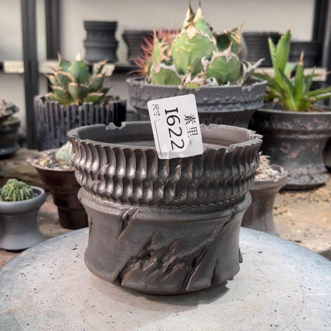 景德镇手工素里内口13.5高12