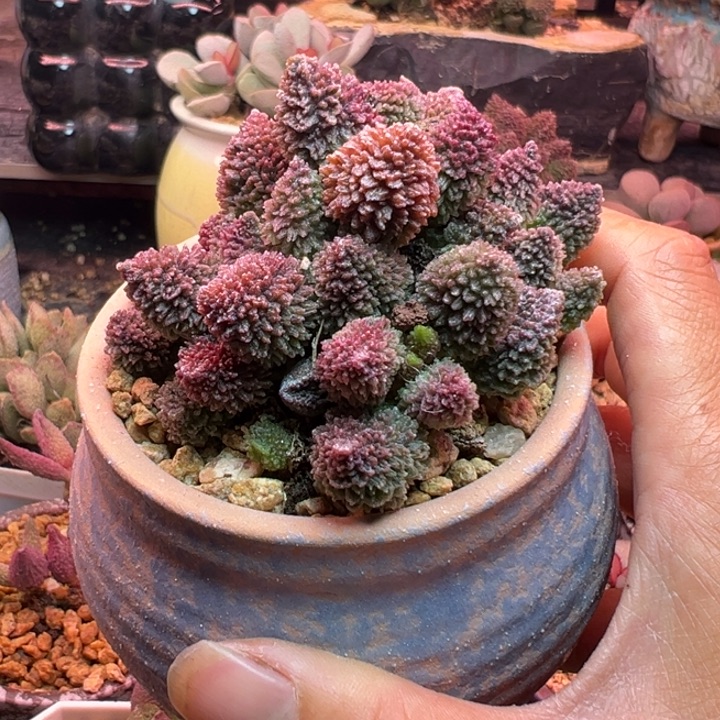 一物一拍，感谢支持