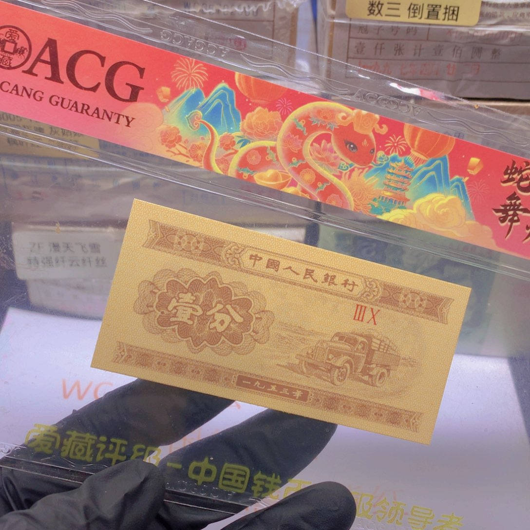 神***子GY63951531标十一组