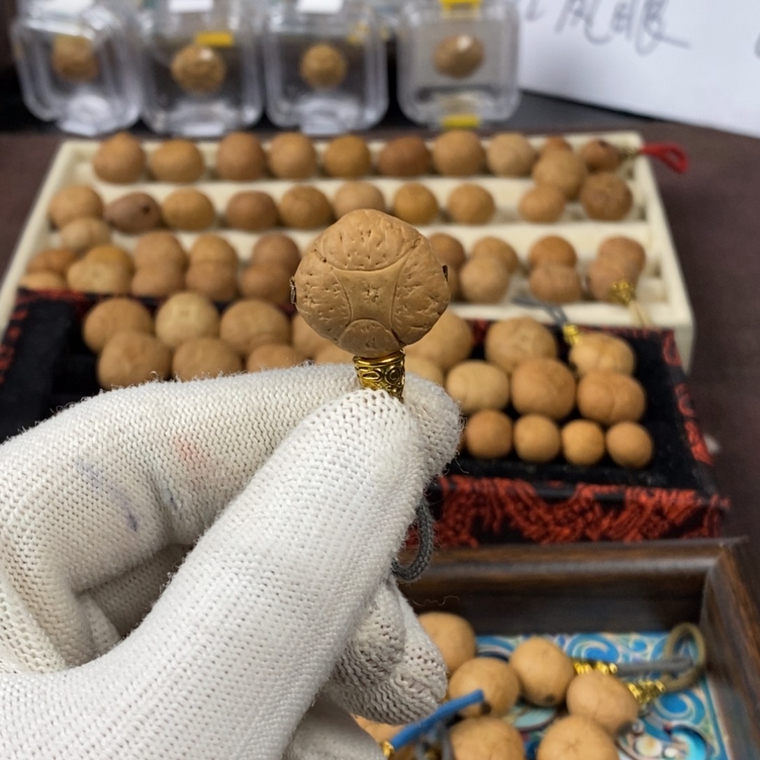 吊坠凤眼菩提20.8麒麟单颗