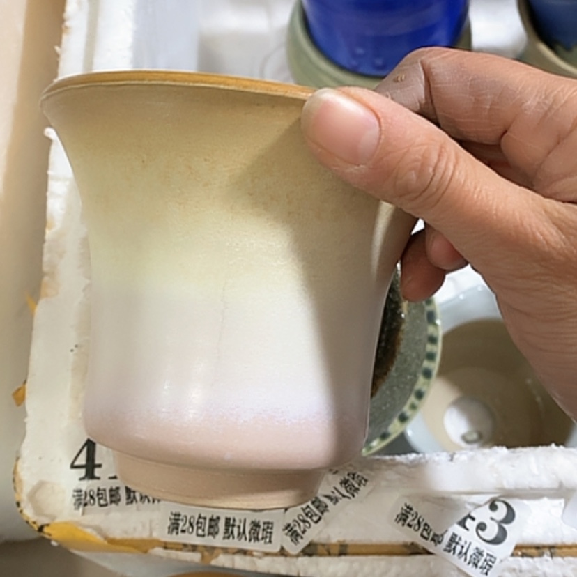 【闪购商品】红陶口11