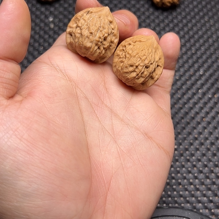 文玩核桃吊坠小金鱼
