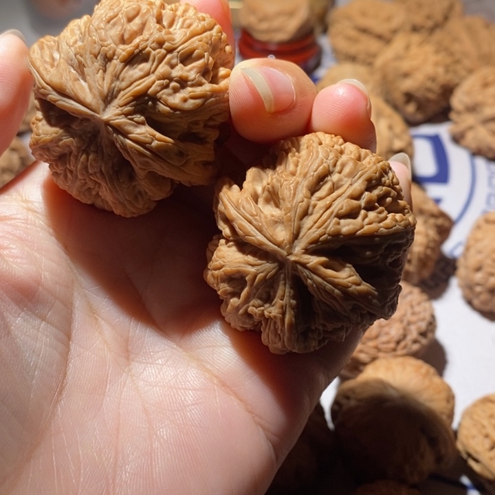 把件文玩核桃球筋