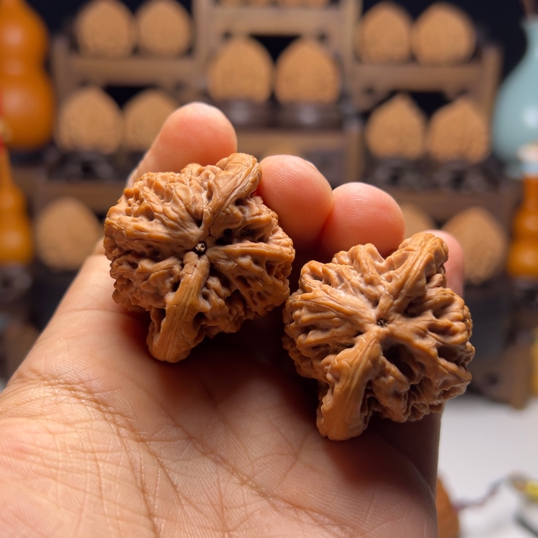 把件文玩核桃43金公子 有修