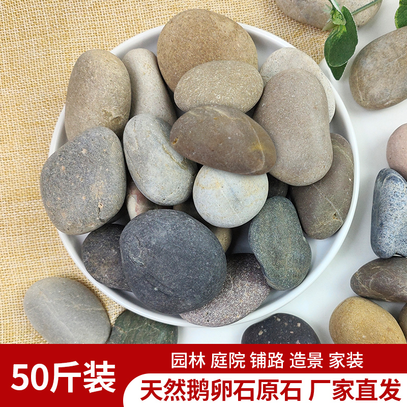 50斤铺路庭院花园造景天然大小石头雨花石石头造景
