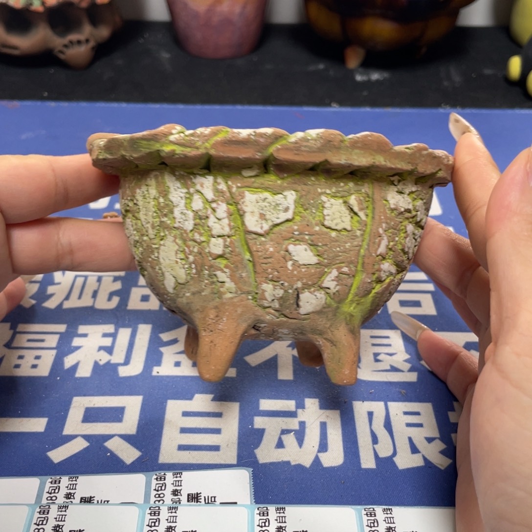 特价微瑕疵不退不换哦55