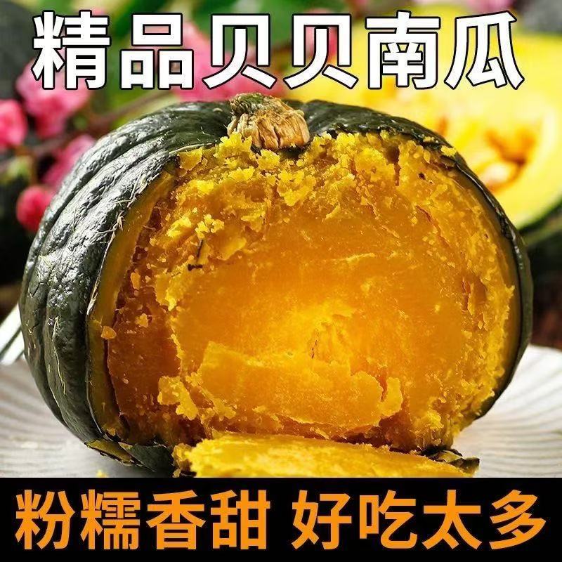 正宗老贝贝头茬南瓜粉糯香甜代餐粗粮新鲜营养优选D