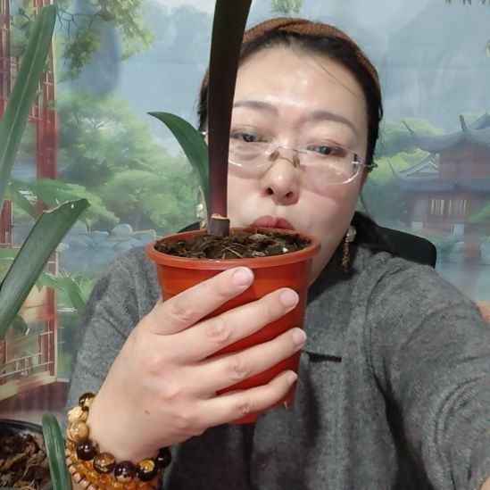 琼***姨完全开放老粉丝元旦福利