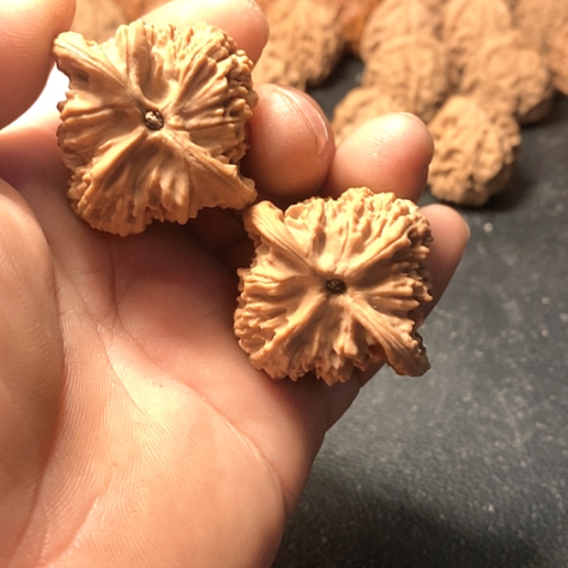 【闪购商品】C****戒红狮子