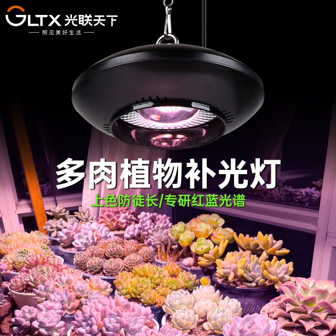 光联天下全光谱多肉补光灯法师专用植物生长灯上色防徒长飞碟吊灯