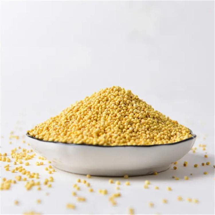 大黄米 约450-500g