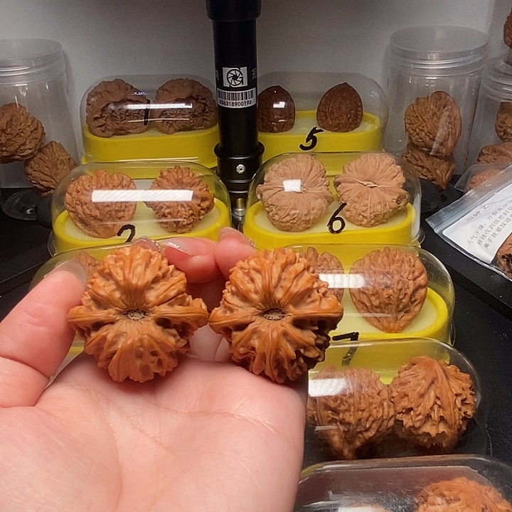 三***破40凹底满肉龙门涧          