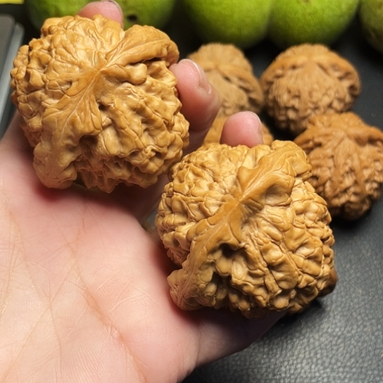 9*2文玩核桃龙鼎一对