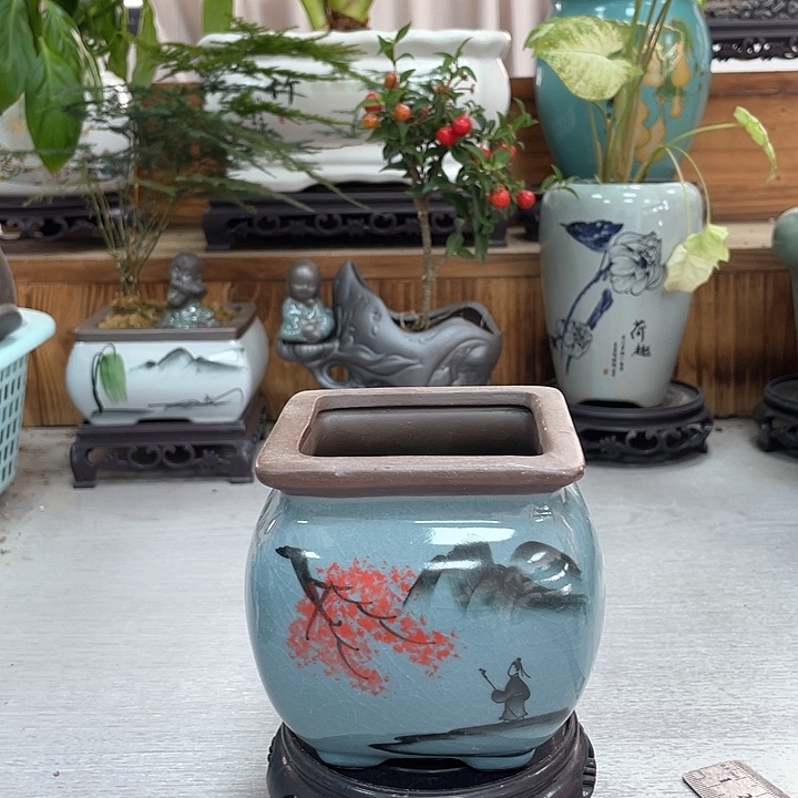 陶瓷花盆抢购福利紫砂花盆