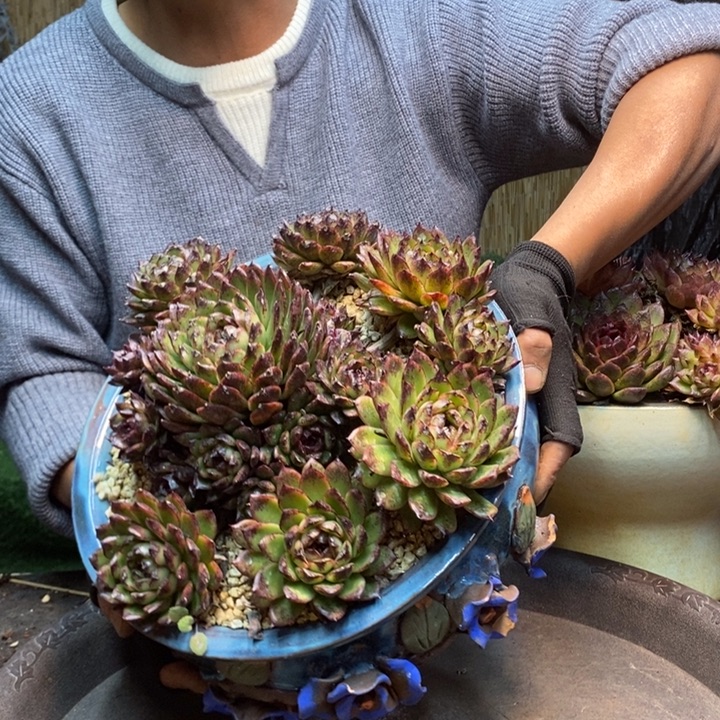 一***了350号物流自理黑水晶