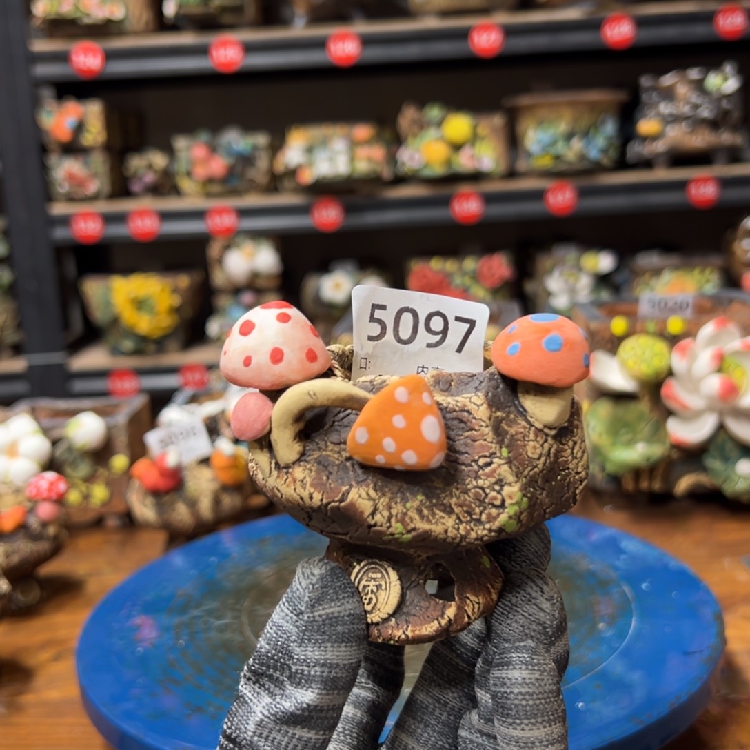 5097 号，内口5外高8