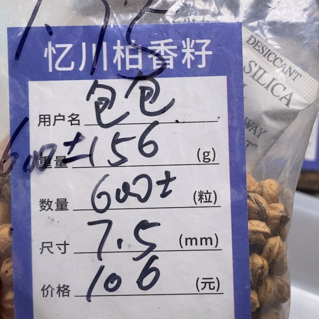 柏香籽/百香籽吊坠包*