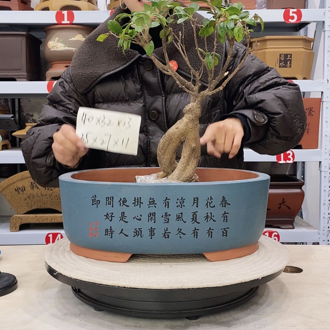 紫砂花盆紫砂花盆